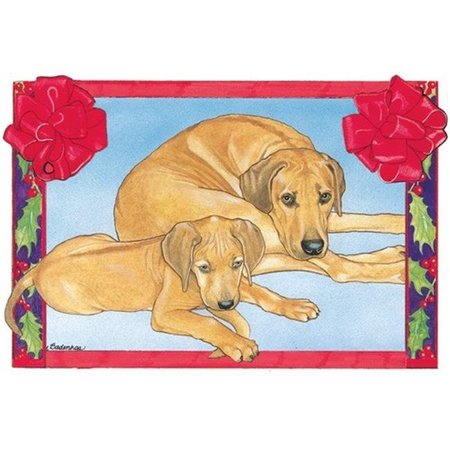 PIPSQUEAK PRODUCTIONS Pipsqueak Productions C858 Holiday Boxed Cards- Rhodesian Ridgeback C858